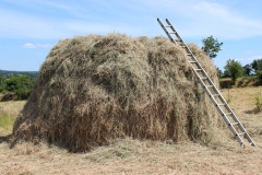 hay stack1