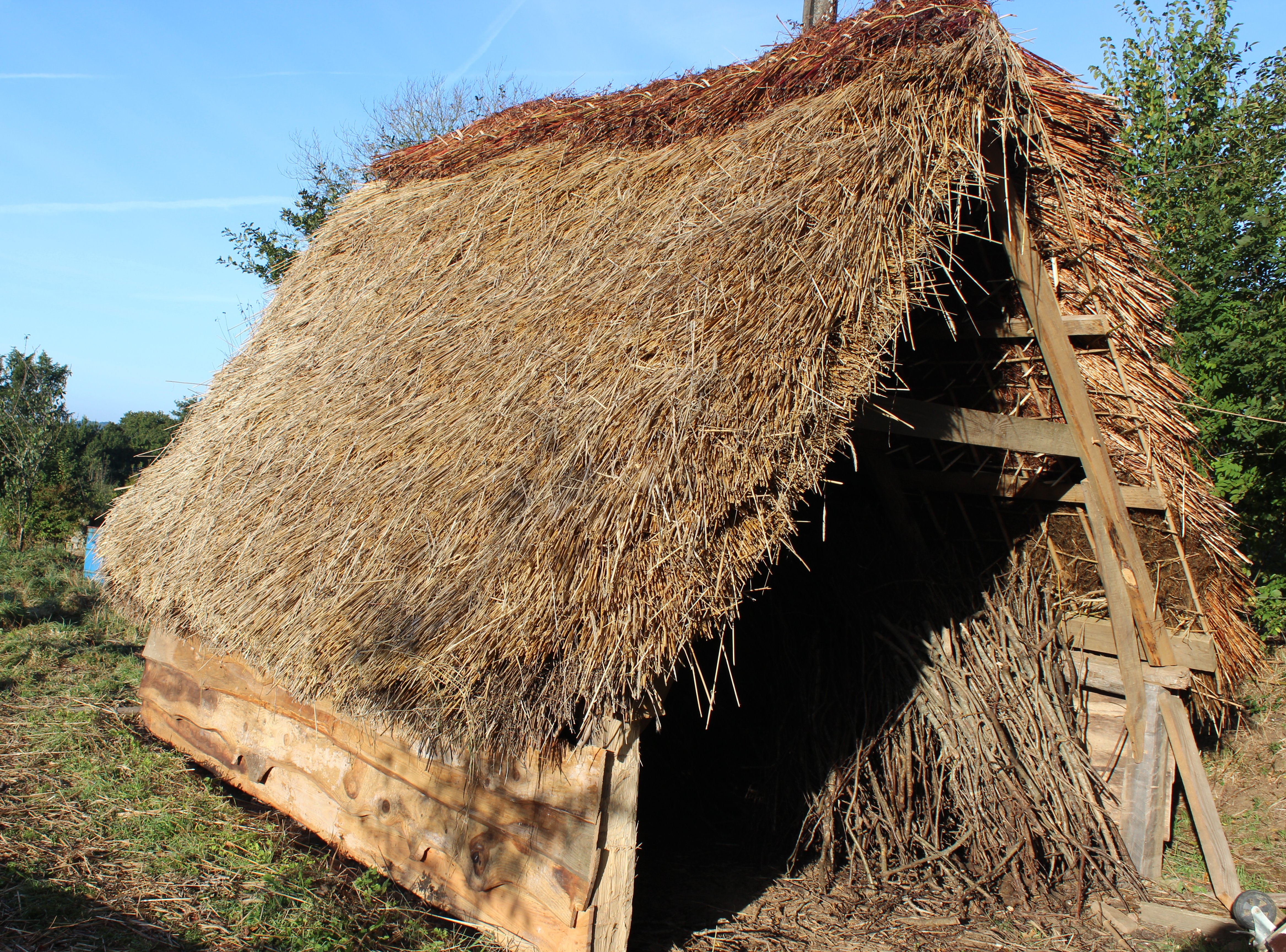thatched-shed_finished
