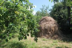 haystack_orchard