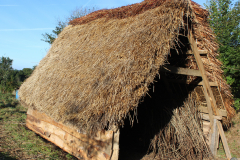 thatched-shed_finished