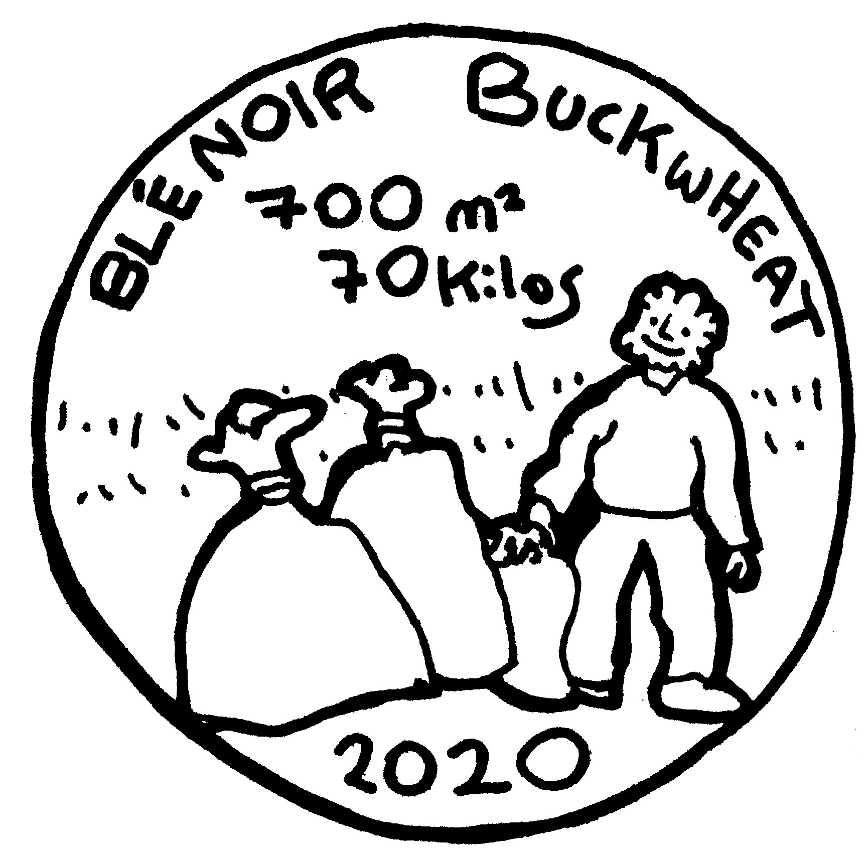 buckwheat-crop062