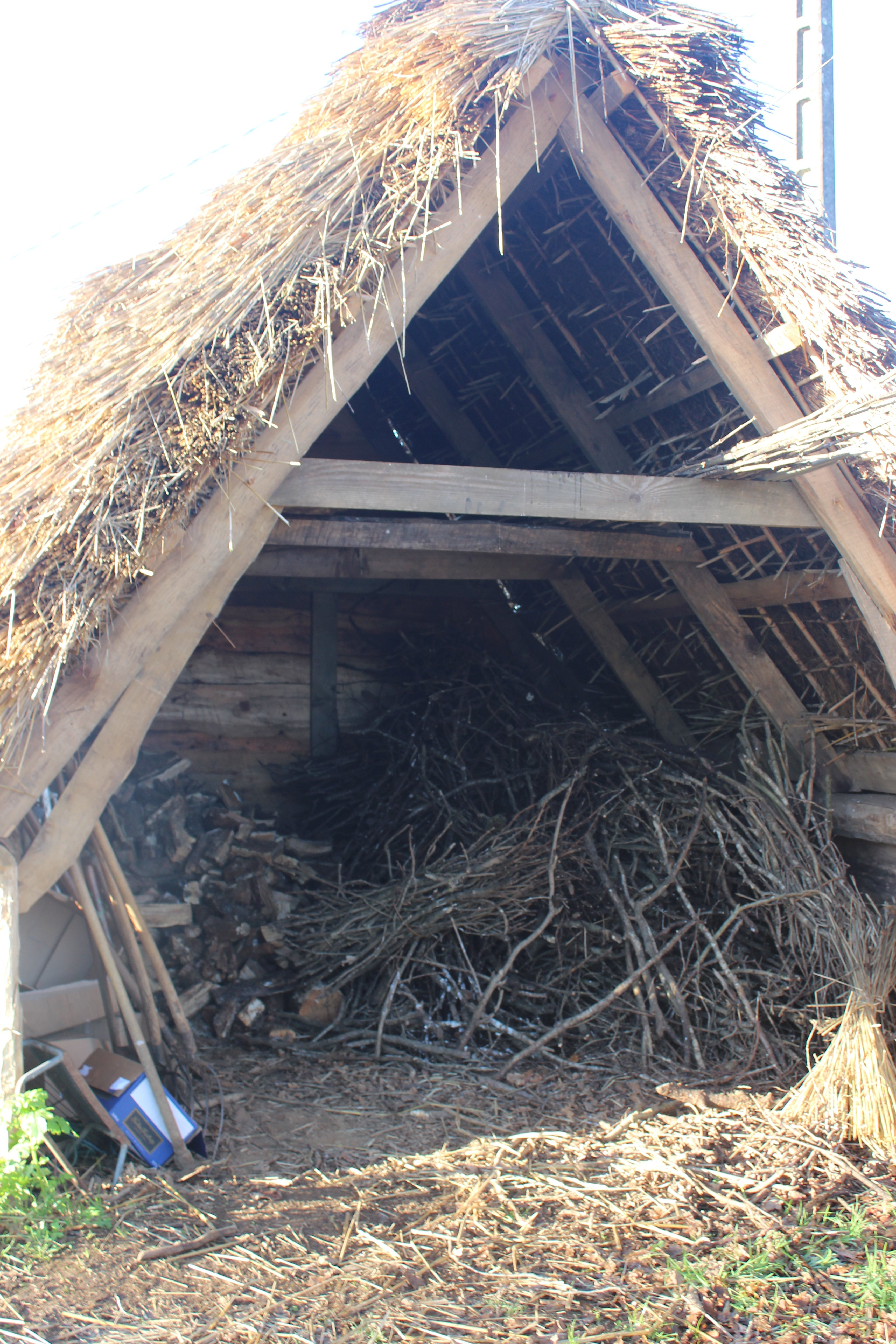 thatched shed