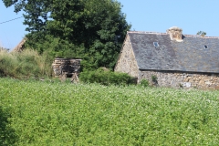 buckwheat_oven_house