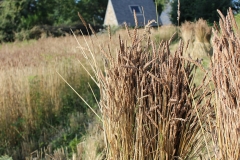epautre harvest_house