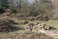 fagoots wood_far2
