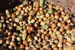 hazelnuts_basket