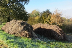 mulch piles