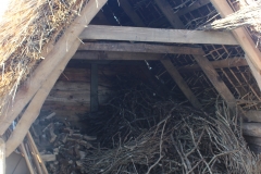 thatched shed