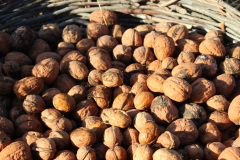 walnuts_basket