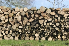 wood pile