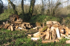 wood pile