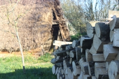 wood_thatch shed2