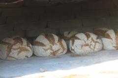 bread-in-oven