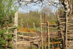 gate