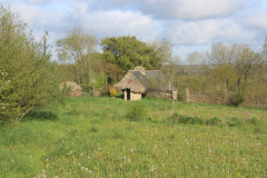 toilet-shed