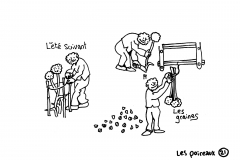 1-20_mon-potager23