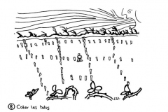 redonner-vie-a-la-terre10