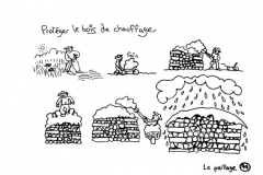 redonner-vie-a-la-terre101
