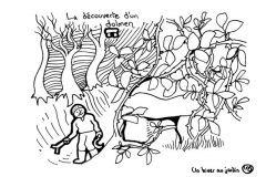 redonner-vie-a-la-terre107