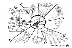 redonner-vie-a-la-terre113