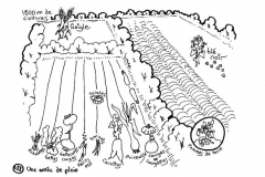 redonner-vie-a-la-terre114