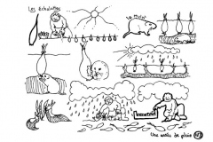 redonner-vie-a-la-terre115