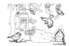 redonner-vie-a-la-terre139