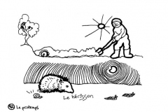 redonner-vie-a-la-terre144