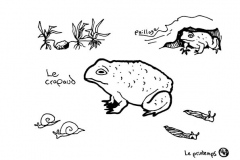 redonner-vie-a-la-terre145