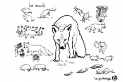 redonner-vie-a-la-terre147