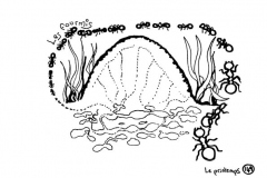 redonner-vie-a-la-terre151