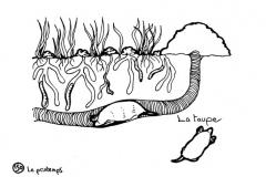 redonner-vie-a-la-terre152