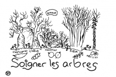redonner-vie-a-la-terre22