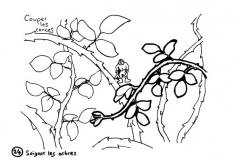 redonner-vie-a-la-terre26