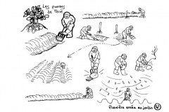 redonner-vie-a-la-terre43