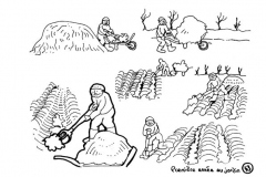 redonner-vie-a-la-terre45
