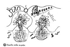 redonner-vie-a-la-terre48