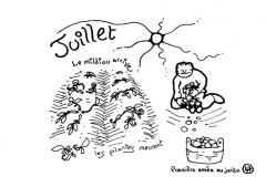 redonner-vie-a-la-terre49