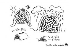 redonner-vie-a-la-terre51