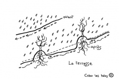 redonner-vie-a-la-terre13