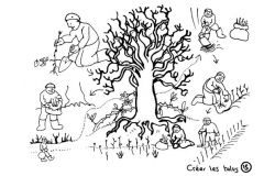 redonner-vie-a-la-terre17