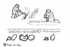 redonner-vie-a-la-terre18