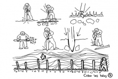 redonner-vie-a-la-terre9