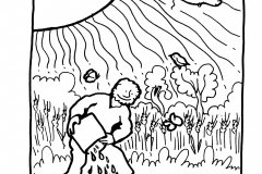 the-earth-and-me12