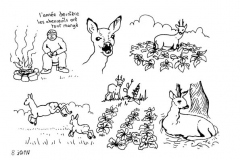 une-annee-avec-la-terre_10