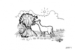 une-annee-avec-la-terre_11