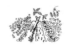 une-annee-avec-la-terre_12