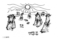 une-annee-avec-la-terre_120