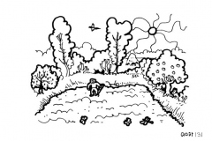 une-annee-avec-la-terre_133