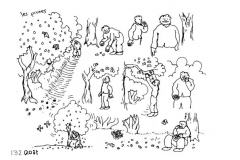 une-annee-avec-la-terre_134